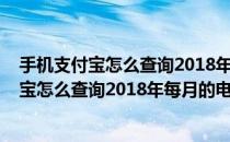 手机支付宝怎么查询2018年每月的电费缴费情况(手机支付宝怎么查询2018年每月的电费缴费情况明细)