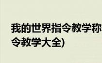 我的世界指令教学称号指令教学(我的世界指令教学大全)