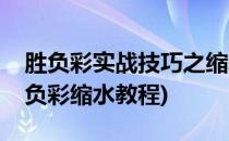 胜负彩实战技巧之缩水软件不宜轻信(足球胜负彩缩水教程)