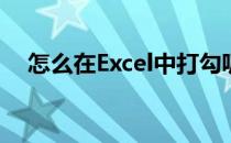 怎么在Excel中打勾呢(在excel如何打勾)