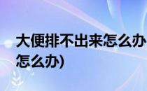 大便排不出来怎么办(肠子里有大便排不出来怎么办)