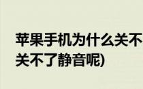 苹果手机为什么关不了静音(苹果手机为什么关不了静音呢)