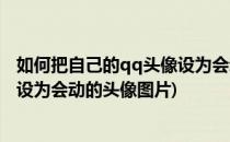 如何把自己的qq头像设为会动的头像(如何把自己的qq头像设为会动的头像图片)