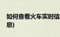 如何查看火车实时信息(怎么查看火车实时信息)