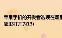 苹果手机的开发者选项在哪里打开(苹果手机的开发者选项在哪里打开为13)