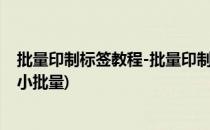 批量印制标签教程-批量印制物料标签和送货单(宣传单印制小批量)