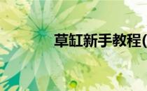 草缸新手教程(草缸入门教程)