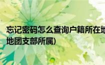 忘记密码怎么查询户籍所在地团支部名称(怎么查询自己户籍地团支部所属)