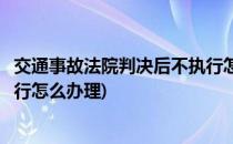 交通事故法院判决后不执行怎么办(交通事故法院判决后不执行怎么办理)