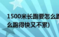 1500米长跑要怎么跑才不累(1500米长跑怎么跑得快又不累)