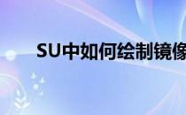 SU中如何绘制镜像图案(su中的镜像)