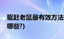 驱赶老鼠最有效方法(灭老鼠最有效的方法有哪些?)