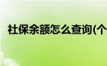 社保余额怎么查询(个人社保余额怎么查询)