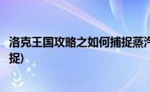 洛克王国攻略之如何捕捉蒸汽龙(洛克王国烈火飞龙在哪里捕捉)