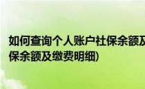 如何查询个人账户社保余额及缴费明细(如何查询个人账户社保余额及缴费明细)