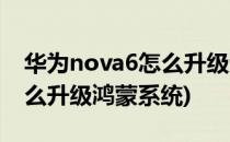 华为nova6怎么升级鸿蒙系统(华为nova6怎么升级鸿蒙系统)