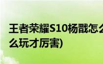 王者荣耀S10杨戬怎么玩(王者荣耀s10杨戬怎么玩才厉害)