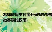 怎样使用支付宝开通蚂蚁微客赚钱(怎样使用支付宝开通蚂蚁微客赚钱权限)