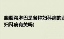 腹股沟淋巴是各种妇科病的源头万万不可堵(腹股沟淋巴结与妇科病有关吗)