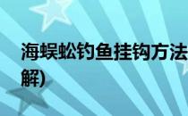 海蜈蚣钓鱼挂钩方法(海蜈蚣钓鱼挂钩方法图解)