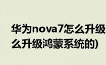 华为nova7怎么升级鸿蒙系统(华为nova7怎么升级鸿蒙系统的)