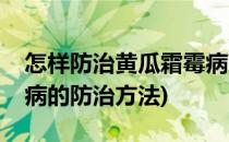 怎样防治黄瓜霜霉病【图文教程】(黄瓜霜霉病的防治方法)