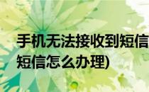 手机无法接收到短信怎么办(手机无法接收到短信怎么办理)