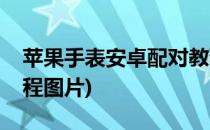 苹果手表安卓配对教程(苹果手表安卓配对教程图片)