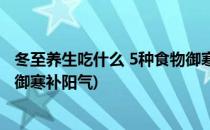 冬至养生吃什么 5种食物御寒补阳(冬至养生吃什么 5种食物御寒补阳气)