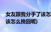 女友跟我分手了该怎么挽回(女友跟我分手了该怎么挽回呢)