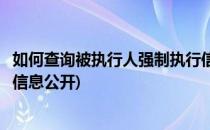 如何查询被执行人强制执行信息(如何查询被执行人强制执行信息公开)