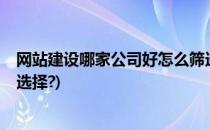 网站建设哪家公司好怎么筛选(网站建设公司哪家好?该如何选择?)