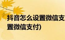 抖音怎么设置微信支付(苹果手机抖音怎么设置微信支付)