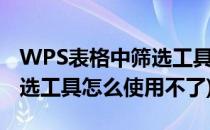 WPS表格中筛选工具怎么使用(wps表格中筛选工具怎么使用不了)