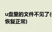 u盘里的文件不见了(u盘里的文件不见了怎么恢复正常)