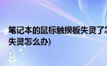 笔记本的鼠标触摸板失灵了怎么办?(笔记本电脑鼠标触摸板失灵怎么办)