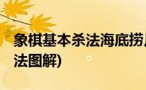 象棋基本杀法海底捞月 二(象棋海底捞基本杀法图解)