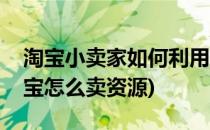 淘宝小卖家如何利用现有资源成为大卖家(淘宝怎么卖资源)