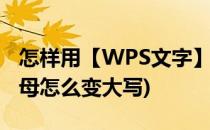 怎样用【WPS文字】转换字母大小写(wps字母怎么变大写)