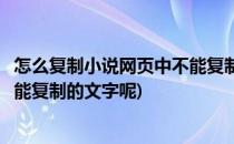 怎么复制小说网页中不能复制的文字(怎么复制小说网页中不能复制的文字呢)