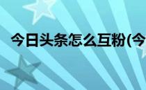 今日头条怎么互粉(今日头条怎么互粉赚钱)