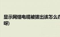 显示网络电缆被拔出该怎么办(显示网络电缆被拔出该怎么办呀)