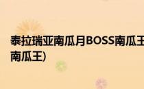 泰拉瑞亚南瓜月BOSS南瓜王攻略(泰拉瑞亚南瓜月第几波有南瓜王)