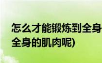 怎么才能锻炼到全身的肌肉(怎么才能锻炼到全身的肌肉呢)