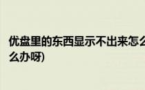 优盘里的东西显示不出来怎么办(优盘里的东西显示不出来怎么办呀)