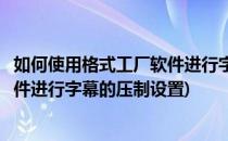 如何使用格式工厂软件进行字幕的压制(如何使用格式工厂软件进行字幕的压制设置)