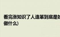 看完涨知识了人造革到底是如何制造出来的(人造革可以用来做什么)