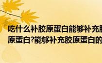 吃什么补胶原蛋白能够补充胶原蛋白的6种食物(吃什么补胶原蛋白?能够补充胶原蛋白的6种食物有哪些)