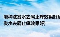 哪种洗发水去屑止痒效果好反复头屑原因大起底(到底什么洗发水去屑止痒效果好)