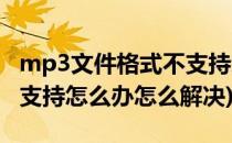 mp3文件格式不支持怎么办(mp3文件格式不支持怎么办怎么解决)